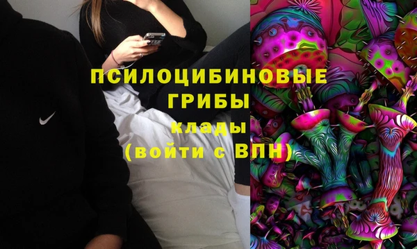ПСИЛОЦИБИНОВЫЕ ГРИБЫ Баксан