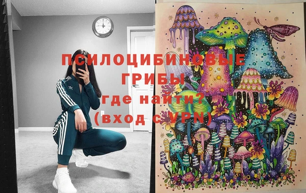ПСИЛОЦИБИНОВЫЕ ГРИБЫ Баксан