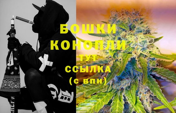 ПСИЛОЦИБИНОВЫЕ ГРИБЫ Баксан